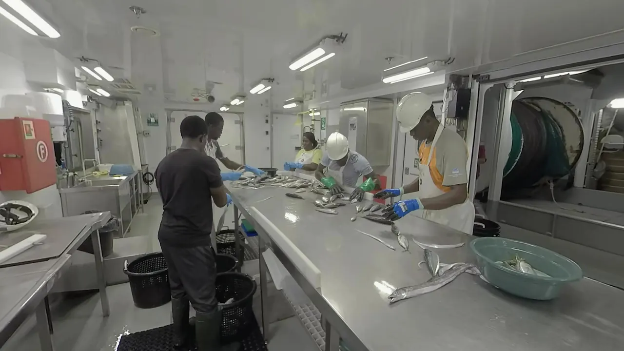 Fish sorting, wet lab