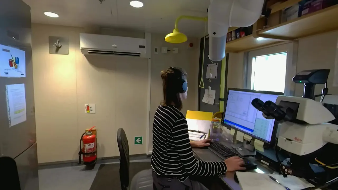 Plankton lab